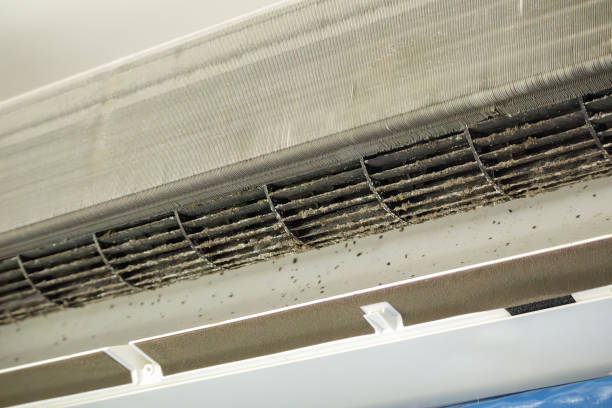 Best Affordable Duct Cleaning Services  in Watertown, TN